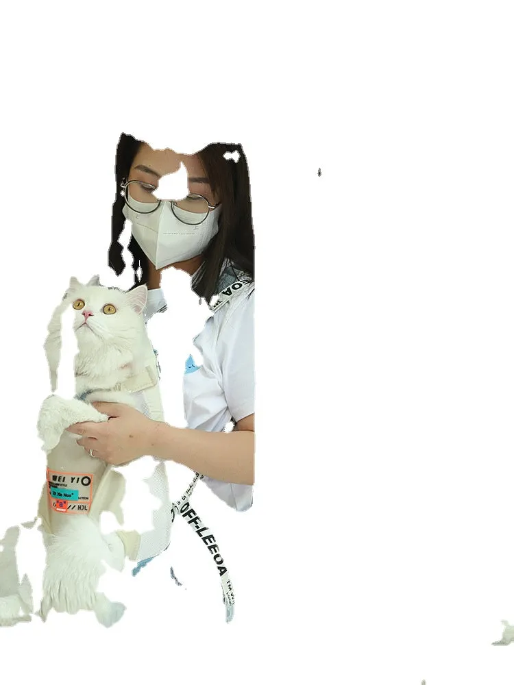 Backpack Lightweight   Spot Portable Cat Pet Bag