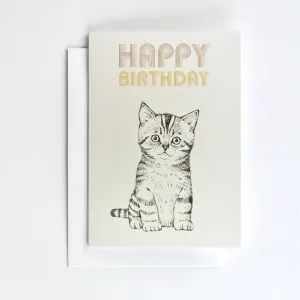 Briki Vroom Vroom Half Folded Postcard Cat